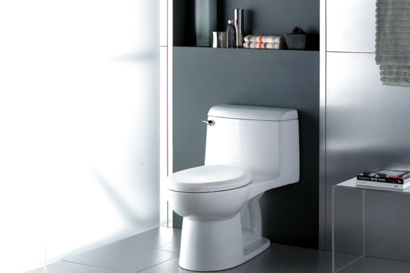 American Standard Champion 4 Toilet Review