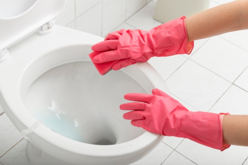 How To Clean Toilet Siphon Jets?