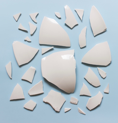 How To Dispose A Toilet Safely And Properly?