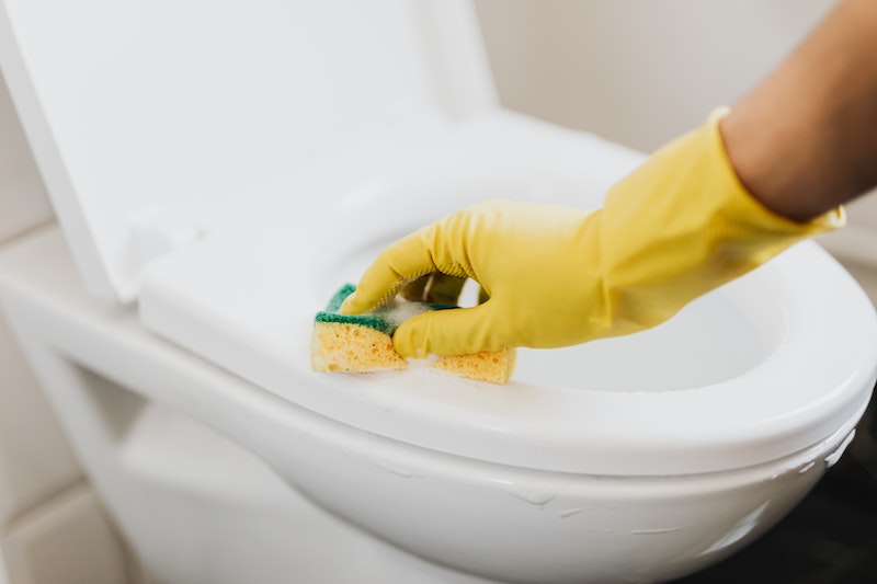How To Disinfect Anything That Fell In The Toilet?