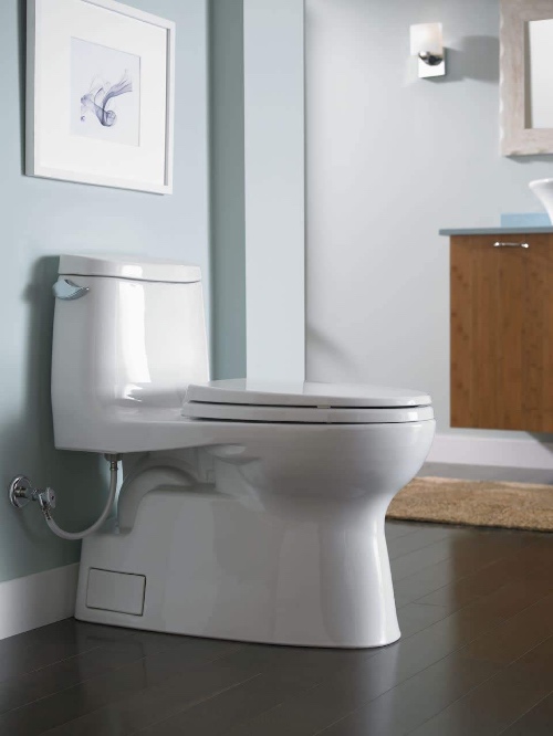TOTO Carlyle II Review