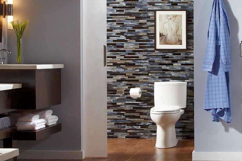 TOTO Drake II Toilet Review