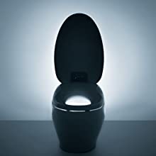 TOTO NEOREST 700H Toilet Review