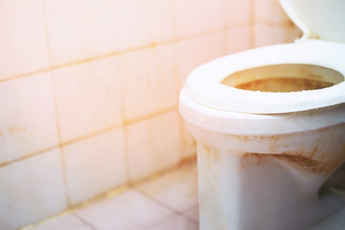 Toilet Bubbles After Flushing?