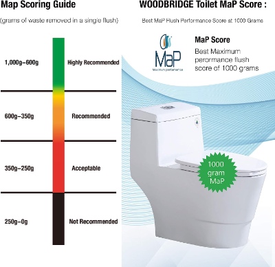 WOODBRIDGE One Piece ‎T-0019 Toilet Review