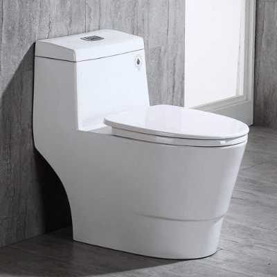 WOODBRIDGE One Piece ‎T-0019 Toilet Review