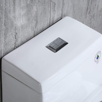 WOODBRIDGE One Piece ‎T-0019 Toilet Review